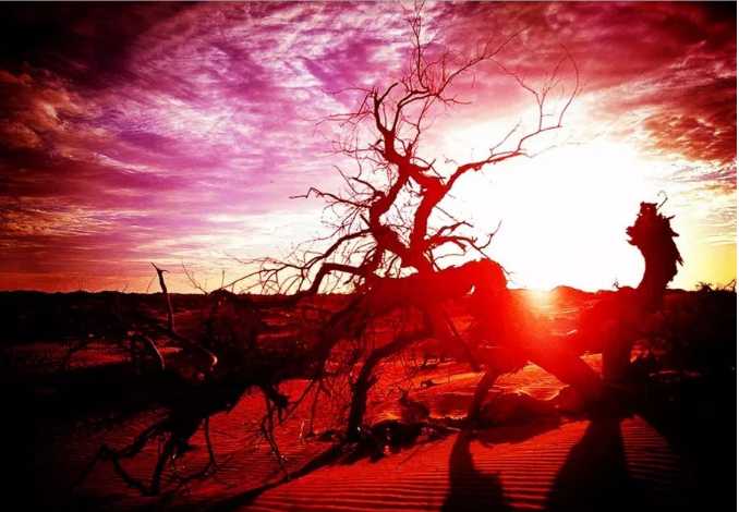 田园综合体规划 田园综合体规划