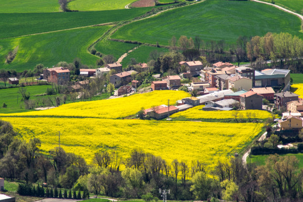 旅游规划 旅游规划