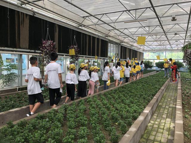 研学旅游规划 研学旅游规划