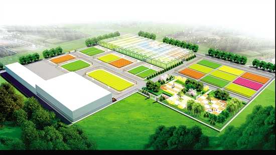 景区规划 景区规划