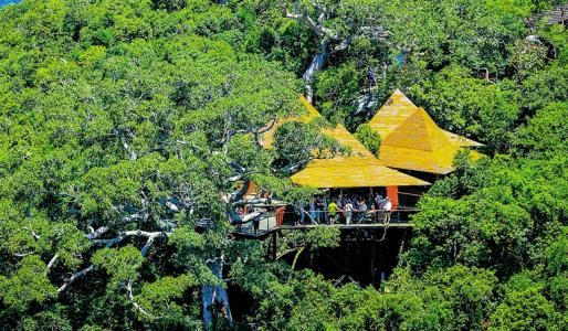 森林旅游规划设计