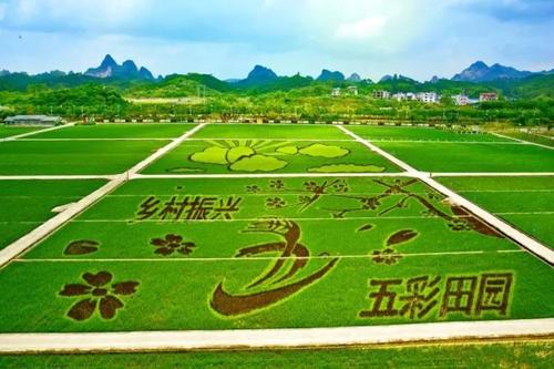 乡村田园景观规划设计