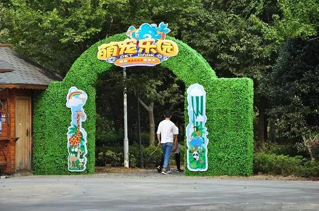 萌宠乐园+海洋馆业态解析