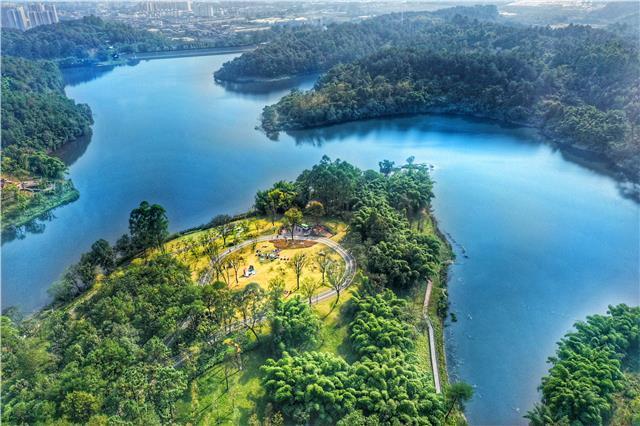 城市森林公园设计