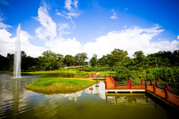 城市森林公园游人行为活动