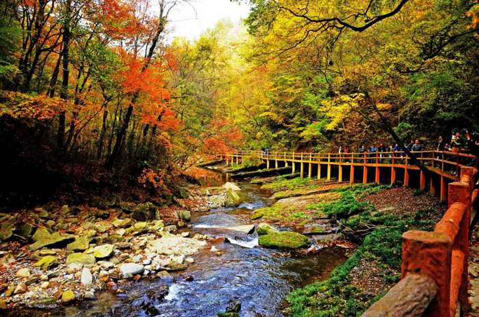 城市森林公园游人行为活动