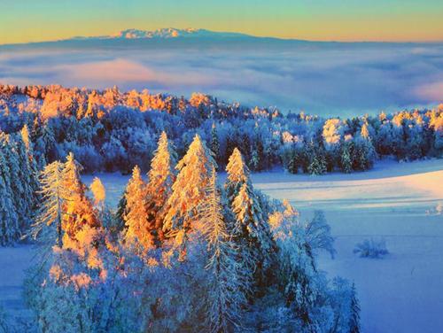 旅游风景区、度假区规划