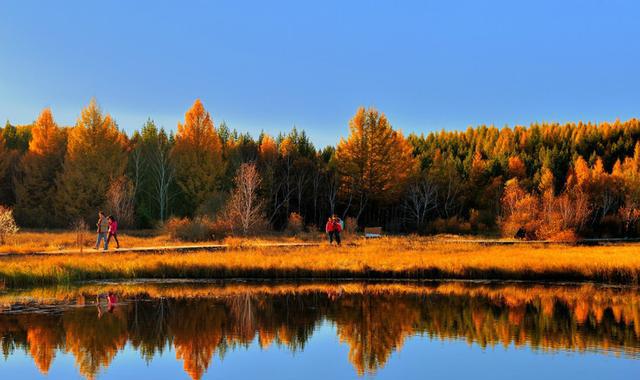 森林公园设计中,不同类型休憩环境的设计对策