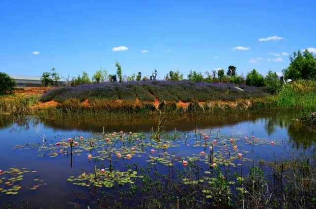湿地公园规划案例