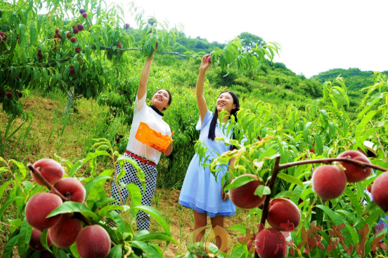 乡村休闲旅游项目开发模式大概有几种?