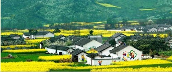 田园综合体环境规划设计