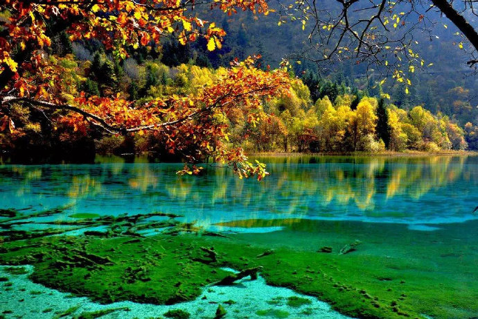 2021国庆长假,各省份城市游客接待量数据报告