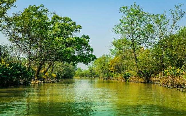 湿地公园的规划设计