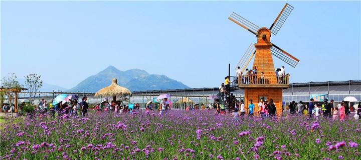 景区休闲农业园规划设计