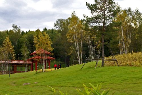 城市森林公园游客
