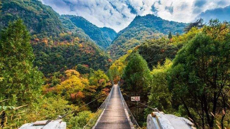 城市森林公园游客