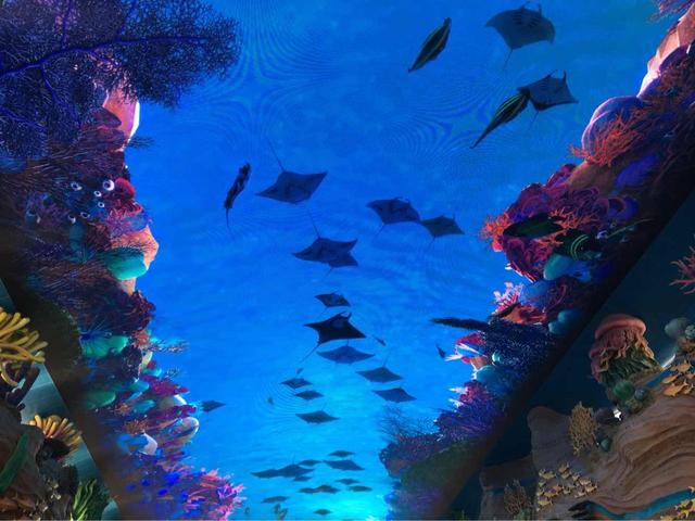 海洋主题公园建筑设计