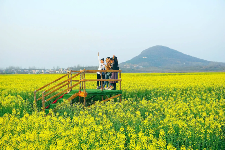 生态农场产业设计