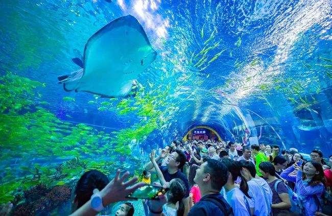 海洋主题公园设计